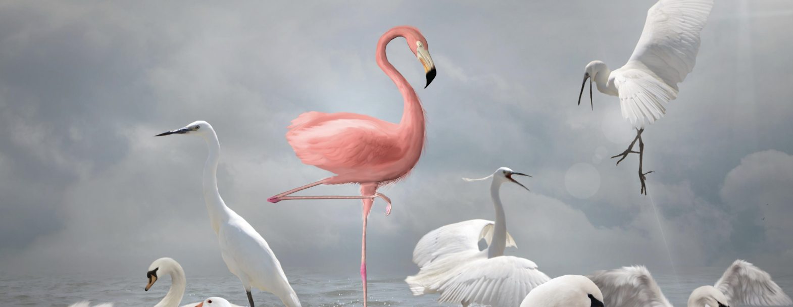 © Istock © Istock