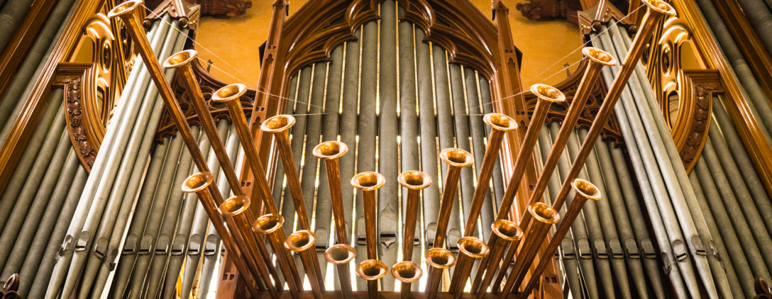 L'orgue, un instrument indétrônable? L'orgue, un instrument indétrônable? / ©iStock