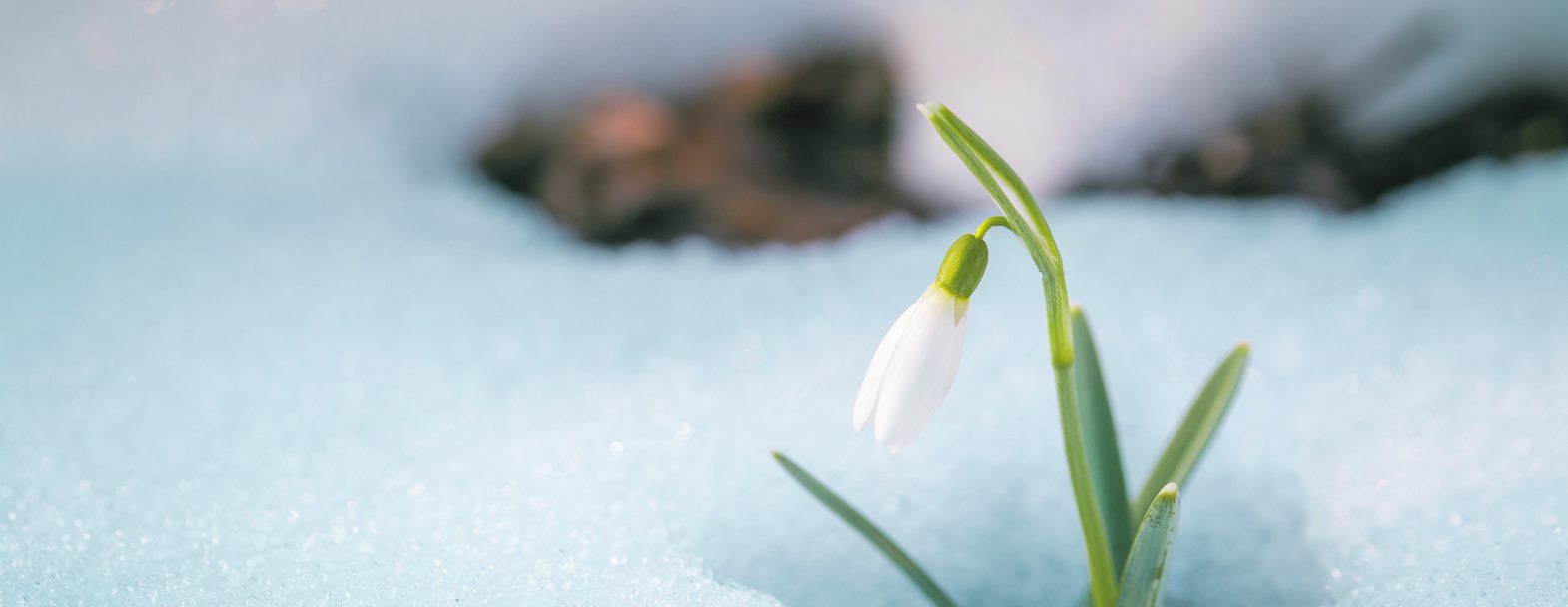 © iStock © iStock