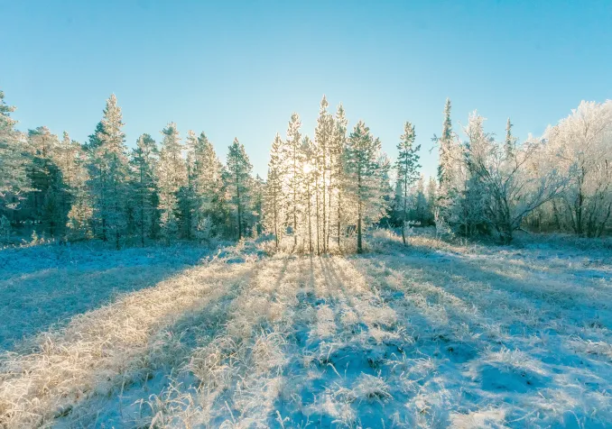 Me laisser gagner de l’intérieur par cette douce lueur. © LDD