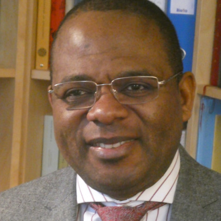 Gabriel Amisi (©DR)