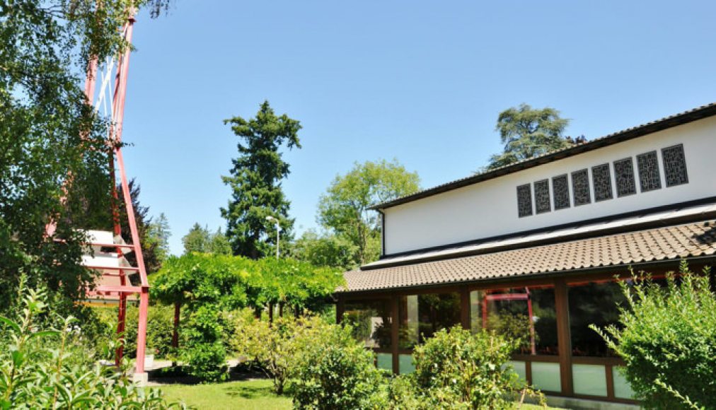 image image