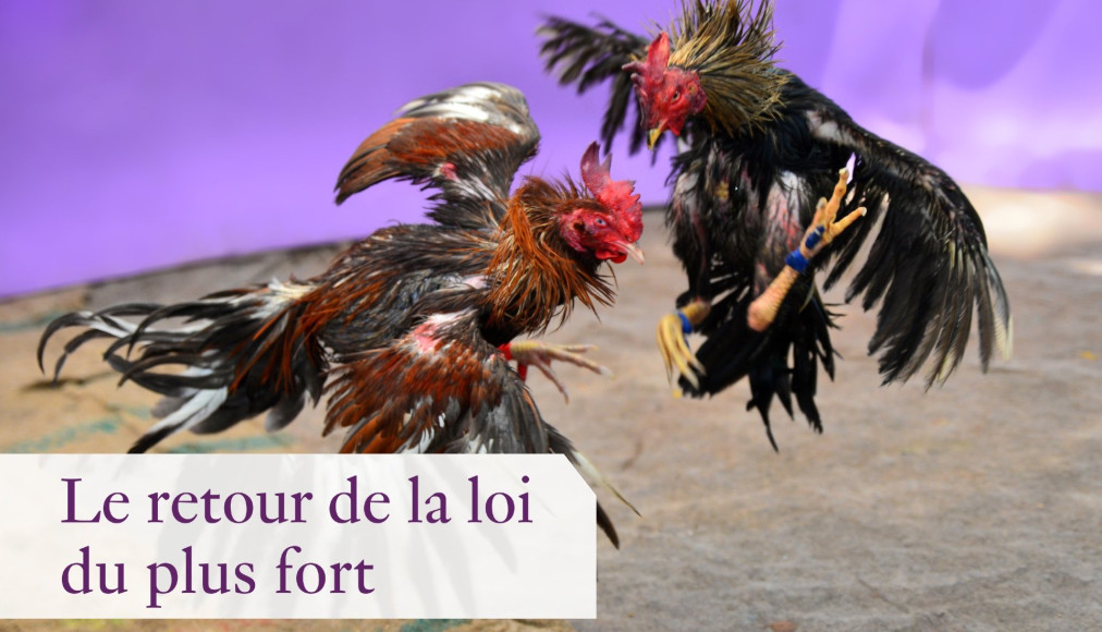 image pour illustration